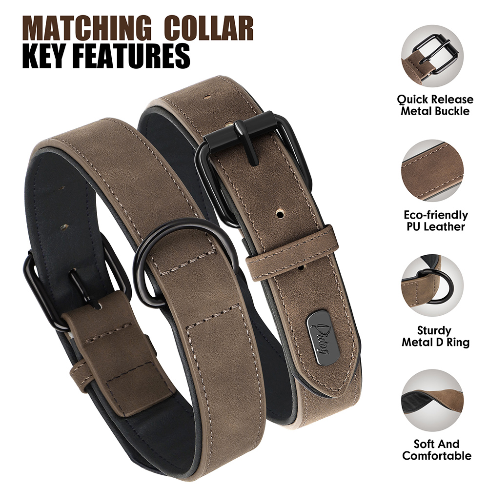 Ensemble de laisse de collier de chien en cuir PU, colliers de chiot rembourrés et souples, collier réglable pour animaux de compagnie avec plomb de marche pour petits et grands chiens carlin
