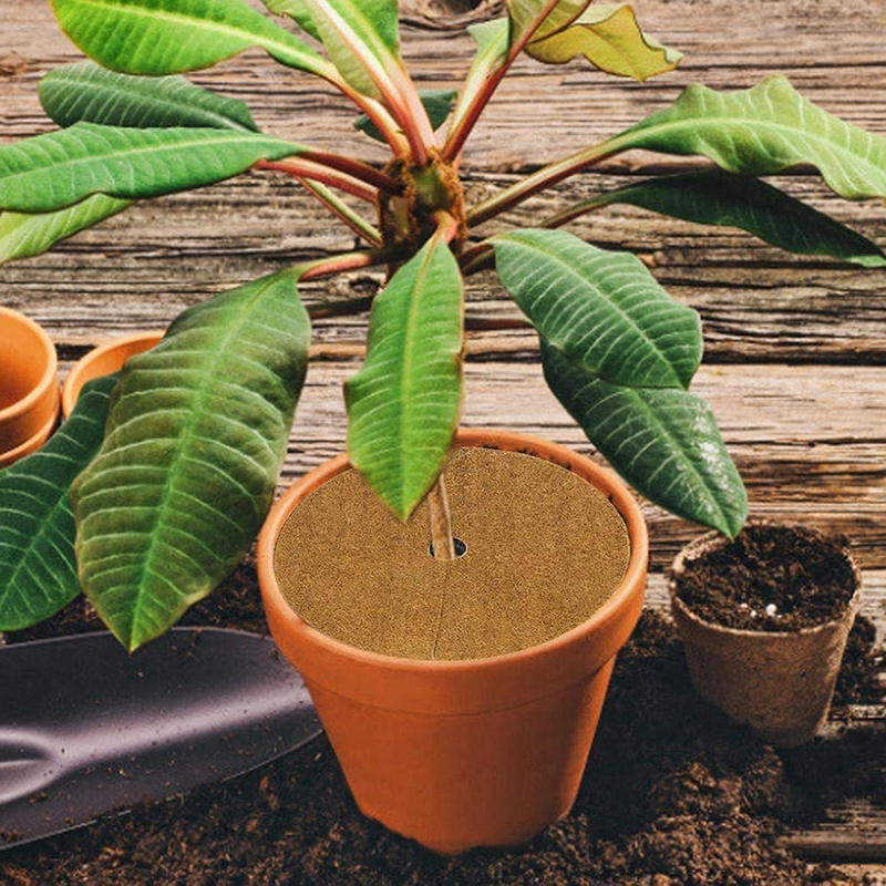 Coconut Palm Mat Moisture-Proof Flower Pot Mat Carpet Non-Slip Coco Liner Bulk Roll Mat Reptile Carpet Cushion