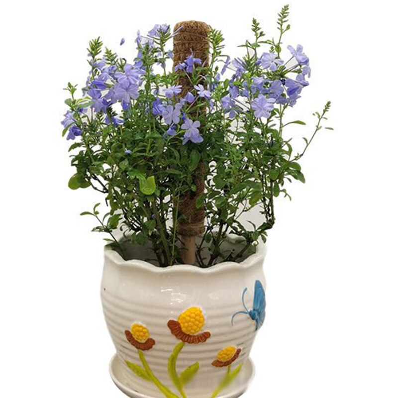 Poste de tótem para escalada de plantas, palo de palma de coco seguro para jardinería, soporte para plantas, vid trepadora y enredaderas, herramientas auxiliares