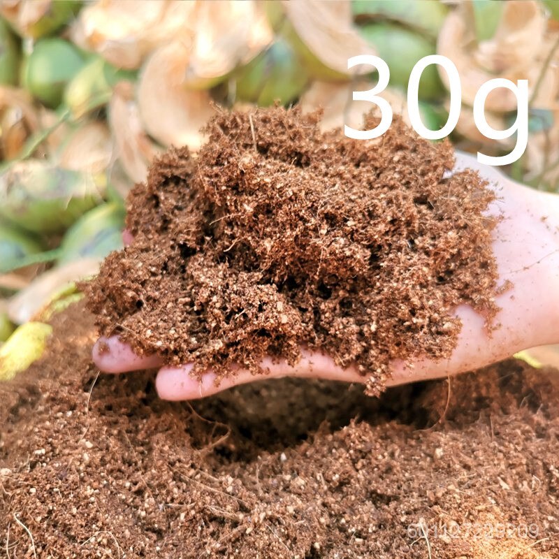 Transparent Acrylic Box Terrarium for Reptile and Amphibian Cricket Turtle Spider Snail Glass Shelter Terarium Terraria Gecko: Coconut soil