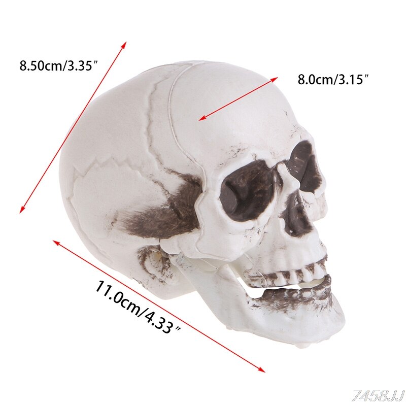 Mini crâne humain en plastique, accessoire de décoration de tête de squelette, ornement de bar à café pour Halloween, directe G22