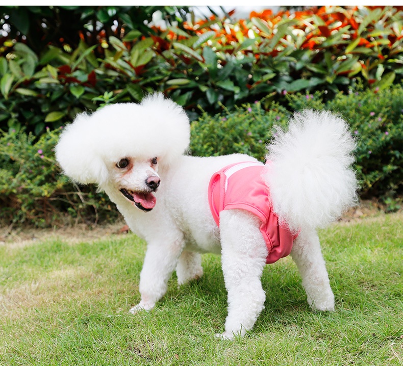 Couche-culotte lavable pour chien, XS-XL animaux domestiques, pantalon physiologique, culotte, Menstruation: Rose / XS