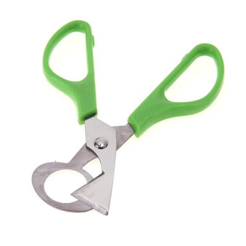 1Pcs Duif Kwarteleitje Schaar Cracker Opener Sigaar Cutter Rvs Ei Opener Tool Fag Creatieve Ei Gereedschap Keuken gereedschap