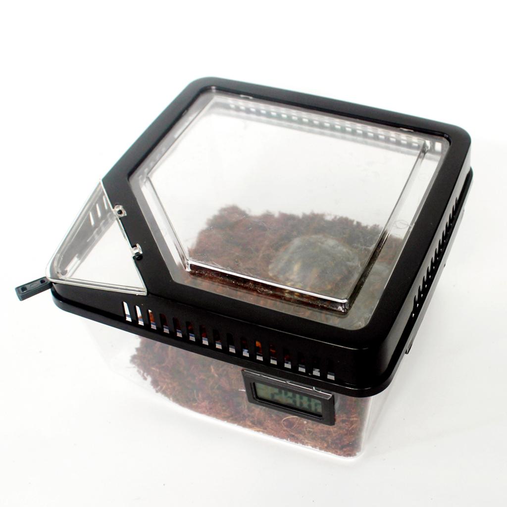 Boîte d'élevage de reptiles, araignée, coccinelle, Scorpion Vivarium, Terrarium