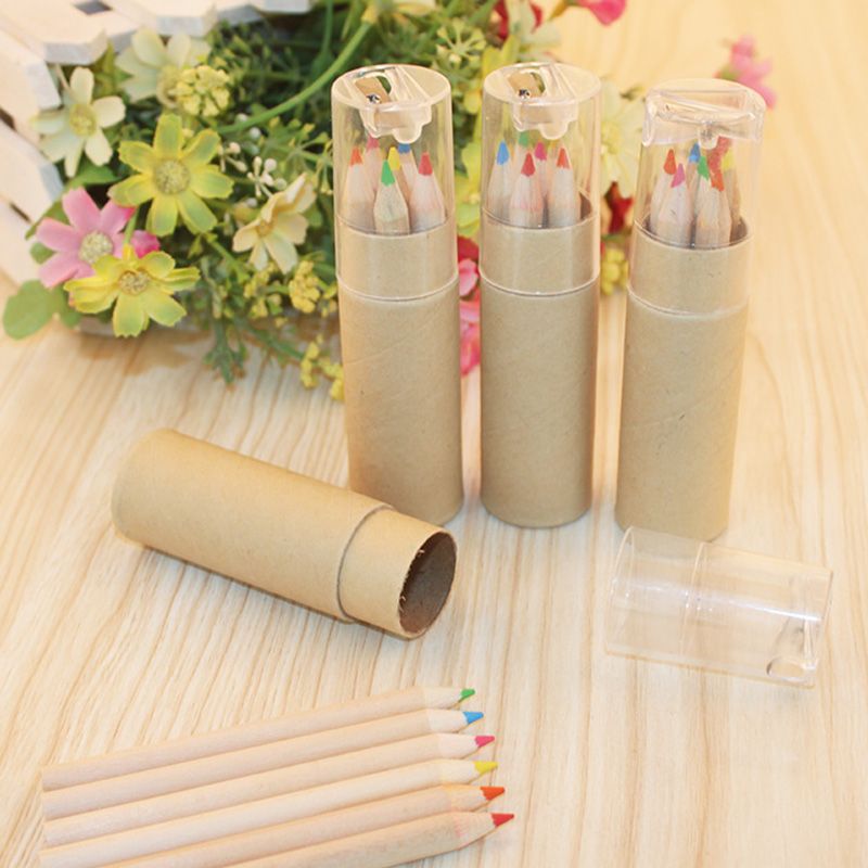 6 Paint Colored Pencils, Pre- Sharpened, HB Core Wooden Colored Pencils with Sharpener Ideal for Drawing Art, Sketching, Shading