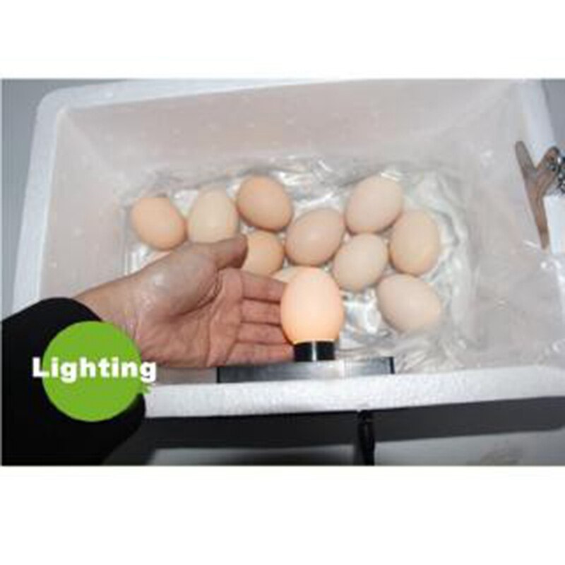 22 Eggs Incubator Automatic Home Digital Chicken Poultry Hatcher Foam Waterbed Incubator Farm Incubation Tool ,US Plug