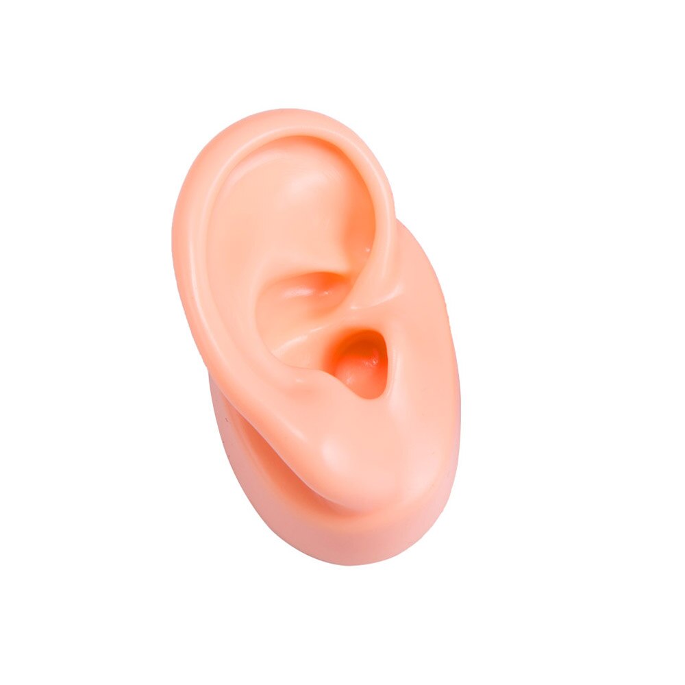 Silicone Ear Model Human Artificial Ear Display for Hearing Aids IEM Earphones Display and Lecturing