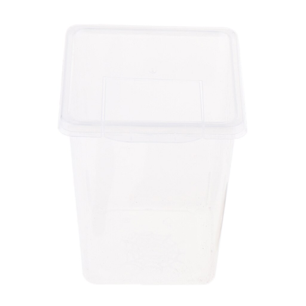 Plastik insekt frø edderkop levested foderkasse beholder genanvendelig 8 x 8 x 11cm