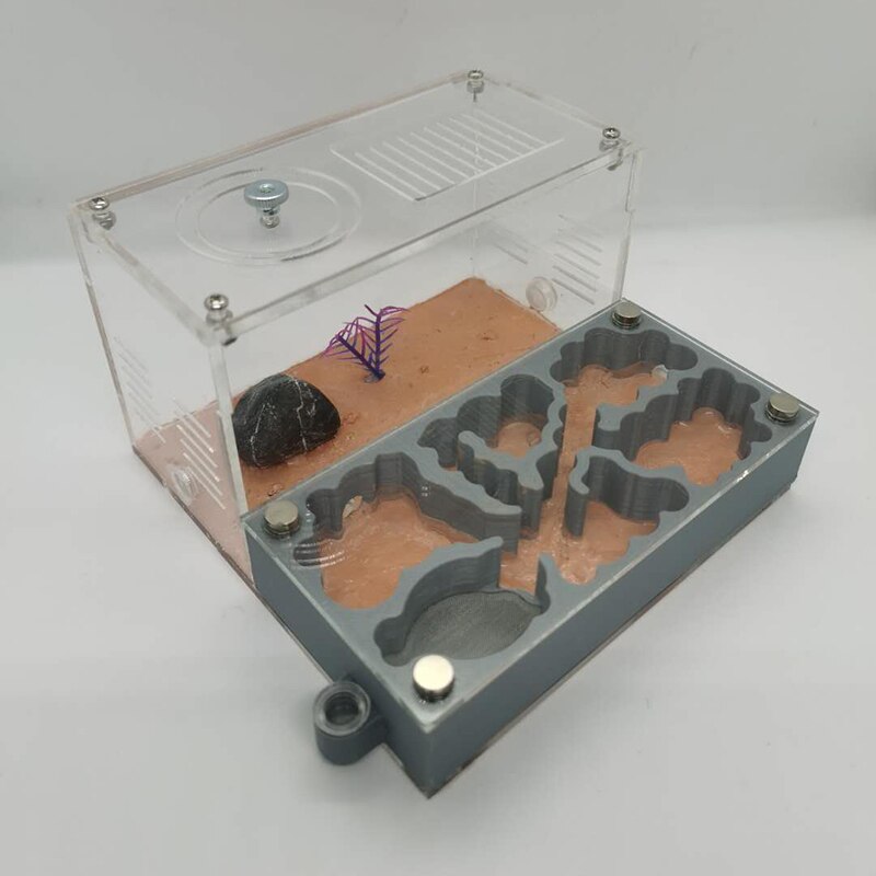 Large Size Ant Farm 3D Printing Flat Ant Nest Acrylic Activity Area Ant Workshop Castle Ant Nest With Shading Board 18x18x6.5cm: C-1