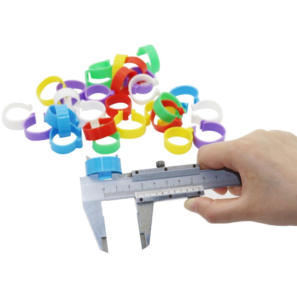 25Mm Pluimvee Voet Ring Kip Eend Gans Vogels Voeden Levert 6 Kleuren Gesp Type Clip Ringen Boerderij Apparatuur 30 stuks
