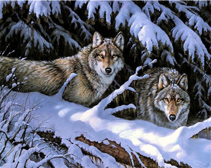 HUACAN Oil Painting By Numbers Wolf Kits Drawing Canvas DIY Pictures By Numbers Animals Winter Hand Painted Home Decor: SZGD387