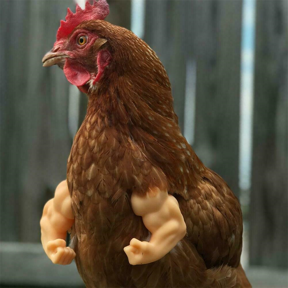Brazos de pollo musculosos, de mordaza, brazos de pollo para llevar brazos musculosos,