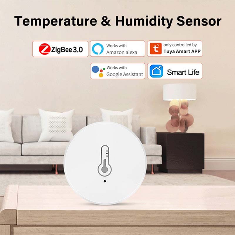 Zigbee Temperature and Humidity Sensor Combined with Alexa Google Assistant To Obtain Temperature Suitable for Various Scenarios