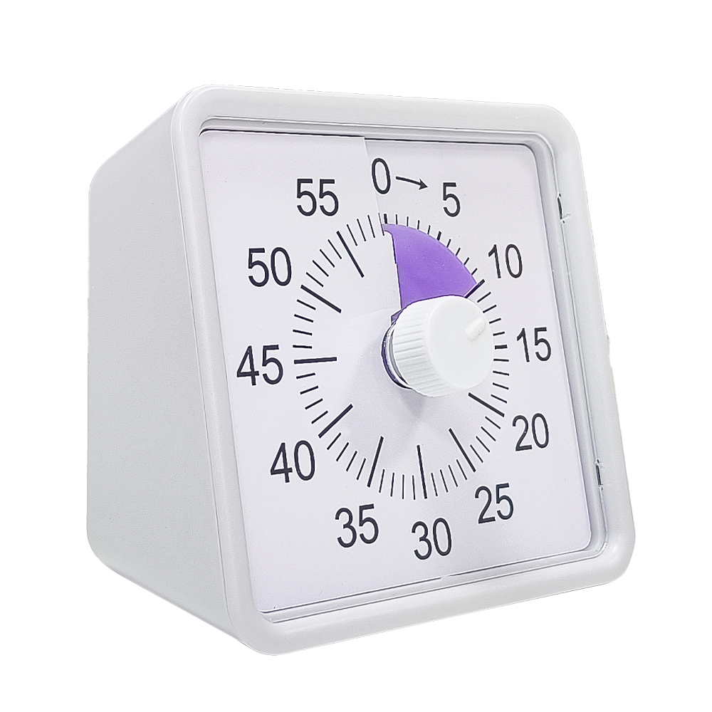 Silent Cooking Countdown Timer for Children and Adults, Visual Time Manager, Learning Exercise Timer, 60 Minutes
