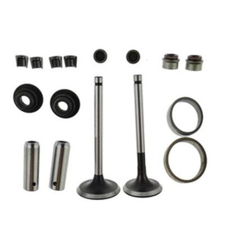 170F 173F 178F 186F 186FA 188F 192F Diesel engine Parts Valve assembly Valve kit: 192F