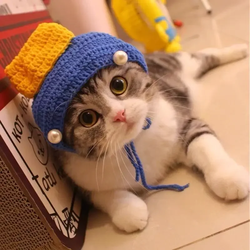 Gorro de punto elástico para gato, accesorio refinado para mascota, cachorro, gatitos, , sesión de fotos, decoración, Otoño e Invierno: Morado