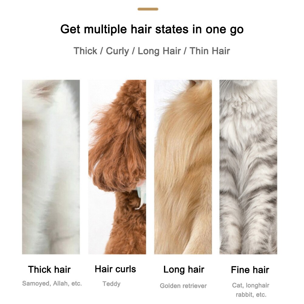 En chien rasoir tondeuses à faible bruit sans fil électrique silencieux tondeuses à cheveux ensemble pour chiens chats animaux de compagnie avec batterie