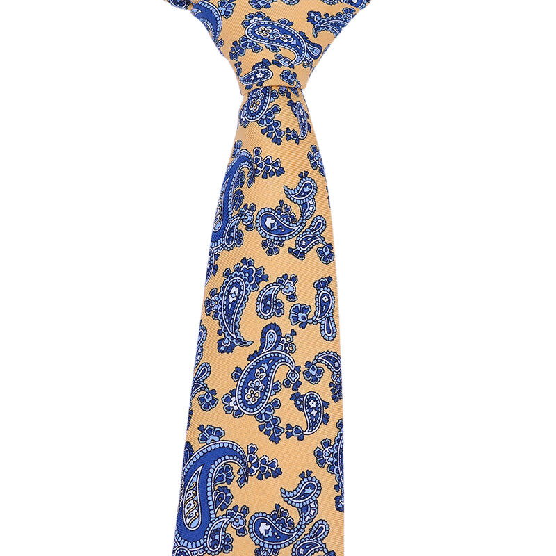 Corbatas de seda de Cachemira súper suaves para hombre, corbata de 8cm a la para hombre, corbatas coloridas con estampado novedoso para reuniones de negocios y bodas