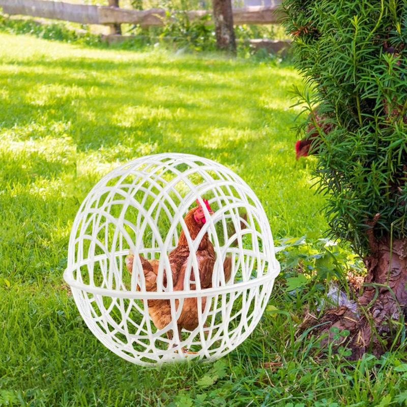 Gaiola de bola de rolamento de frango 3 peças gaiola de segurança para animais de estimação gaiola esférica de bola de orbe de frango em forma de bola gaiola de frango esférica