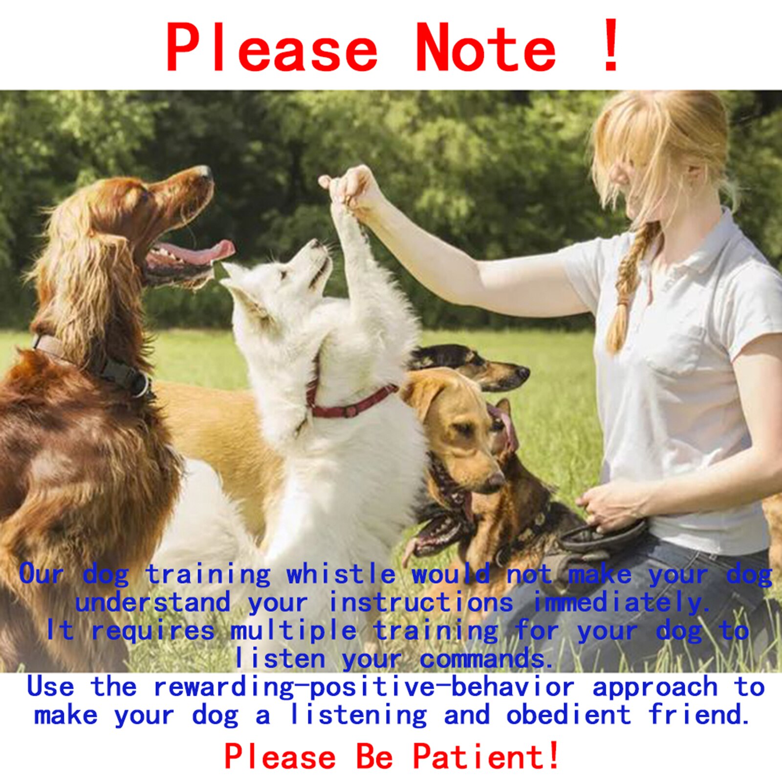 PHABULS Stille Hund Pfeife Ausbildung halt Gebell Einstellbare Frequenz Umfassen Clicker & Schlüsselband Effektiv Machen Ihr Haustier Dev