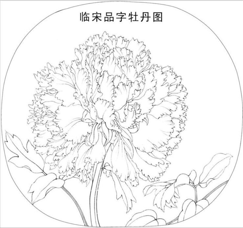 Line Drawing Manuscript Song Dynasty Meticulous Painting Sketches Flowers Birds Copying Manuscript Beginners Line Drawing Drafts