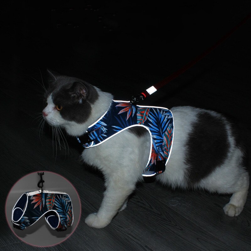 Katze nutzbar machen Katze Leine einstellen Polyester Reflektierende Karikatur aufbringen Haustier nutzbar machen Einstellbar Büste Klett Sicherheit Schnalle