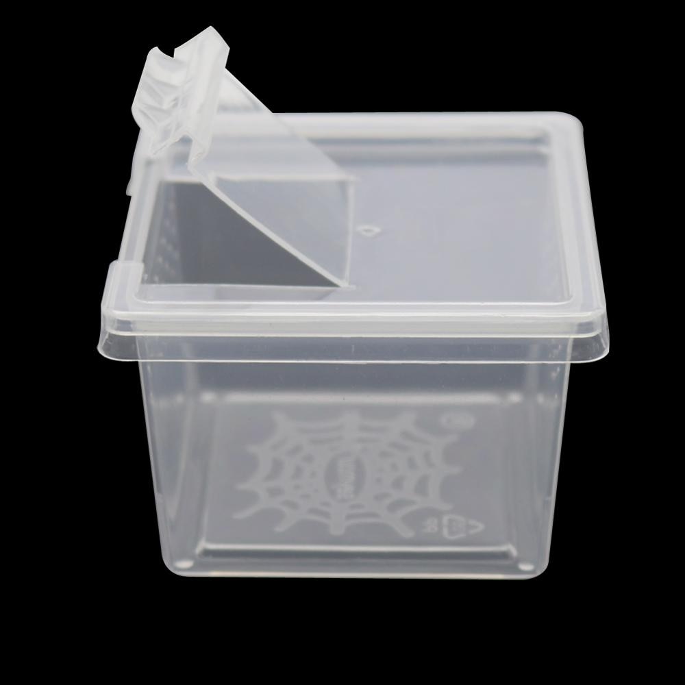 Caja de plástico transparente para criar reptiles, contenedor para cultivar insectos, araña Escorpión, 10 unidades