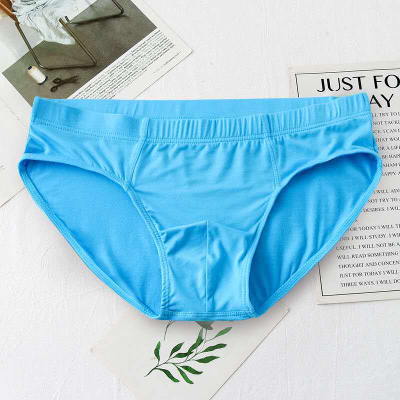 Men Underwear Briefs Modal Qucik-Dry Sexy Briefs Breathable Mens Slip Cueca Male Panties Underpants Briefs: M / Blue