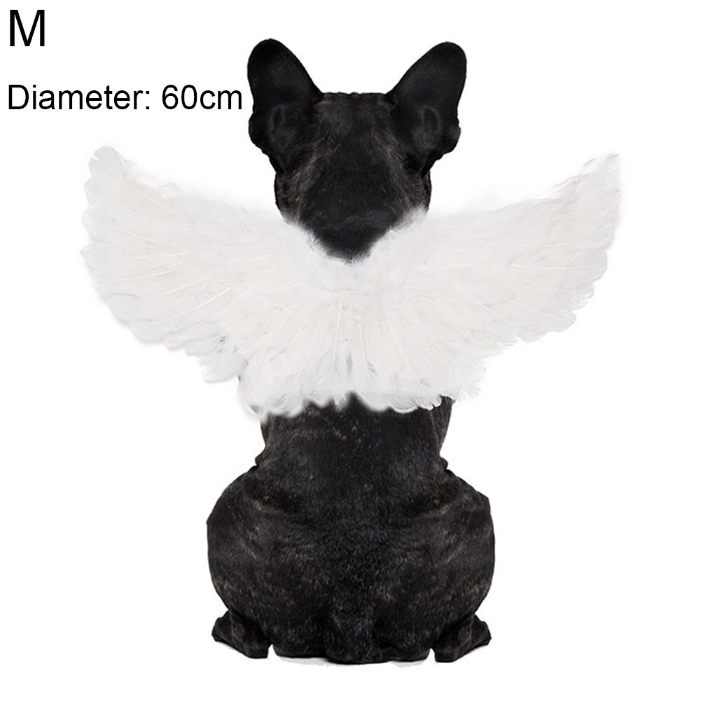 animale domestico cane gatto pipistrello ragno Cosplay puntello Halloween pipistrello fantasia vestire con Cappuccio costume bel Vestito Di Natale Vestiti Decorativi