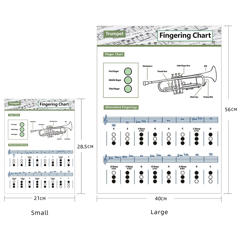 -Trumpet Practice Chart Chord Trumpet Fingering Chart Trumpet Fingering Chart Music Chords Poster