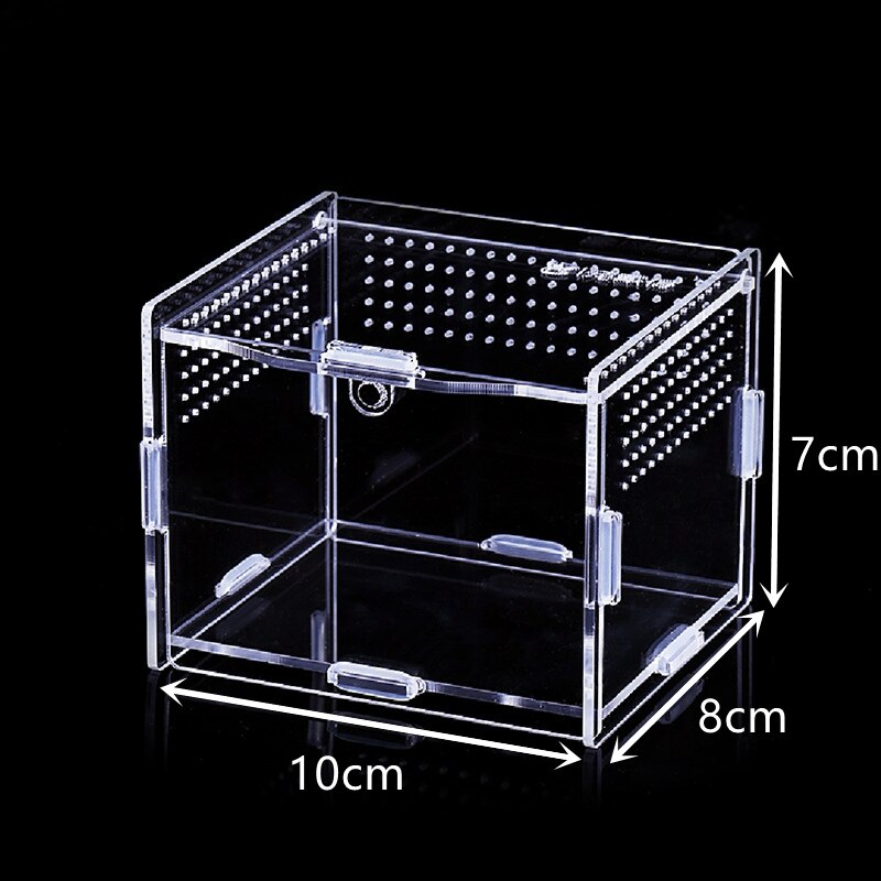 Transparent Acrylic Box Terrarium for Reptile and Amphibian Cricket Turtle Spider Snail Glass Shelter Terarium Terraria Gecko: 7 8 10