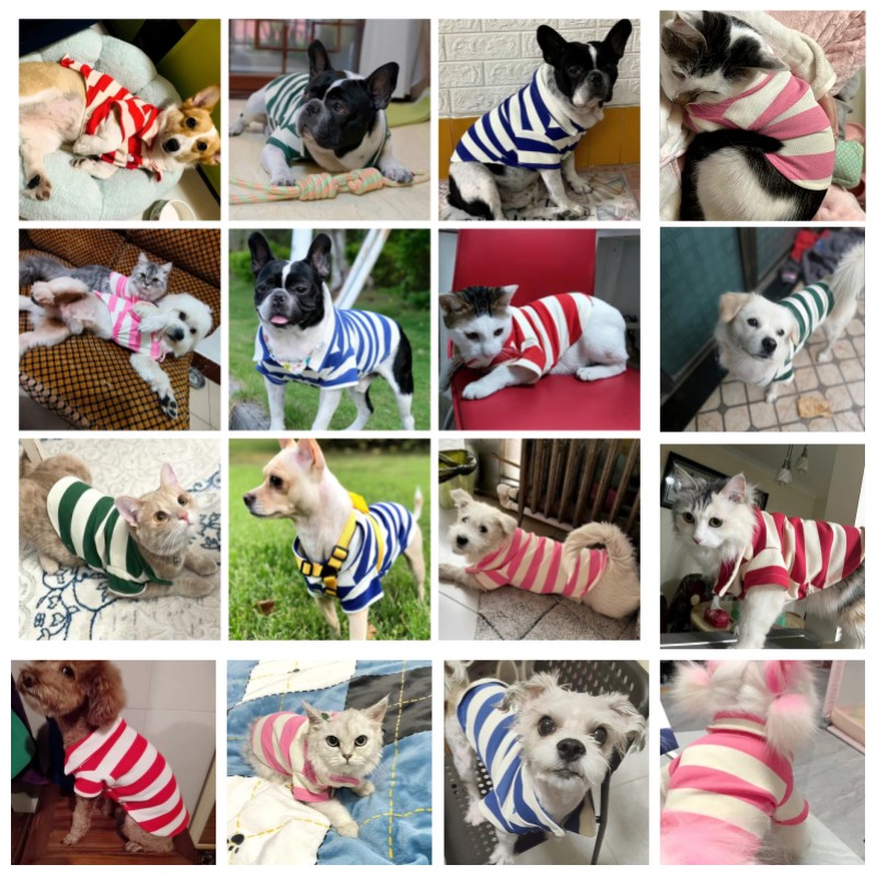 Camiseta Polo para perro, ropa fresca de verano, sudadera a rayas, Yorkie, Chihuahua, ropa para cachorro, chaleco para perros pequeños y medianos, disfraces