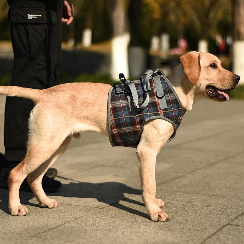 Chaleco de soporte ajustable para perro, arnés para piernas traseras para perros medianos y grandes, ancianos, discapacitados, lesiones en las articulaciones, artritis, parálisis: Front leg blue plaid / L