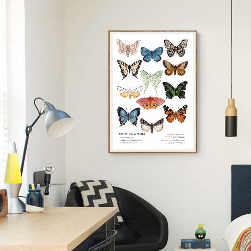 Vlinders En Motten Canvas Art Prints Insect Natuur Muur Foto Educatief Poster Kleuterschool Decor Poster Kraftpapier