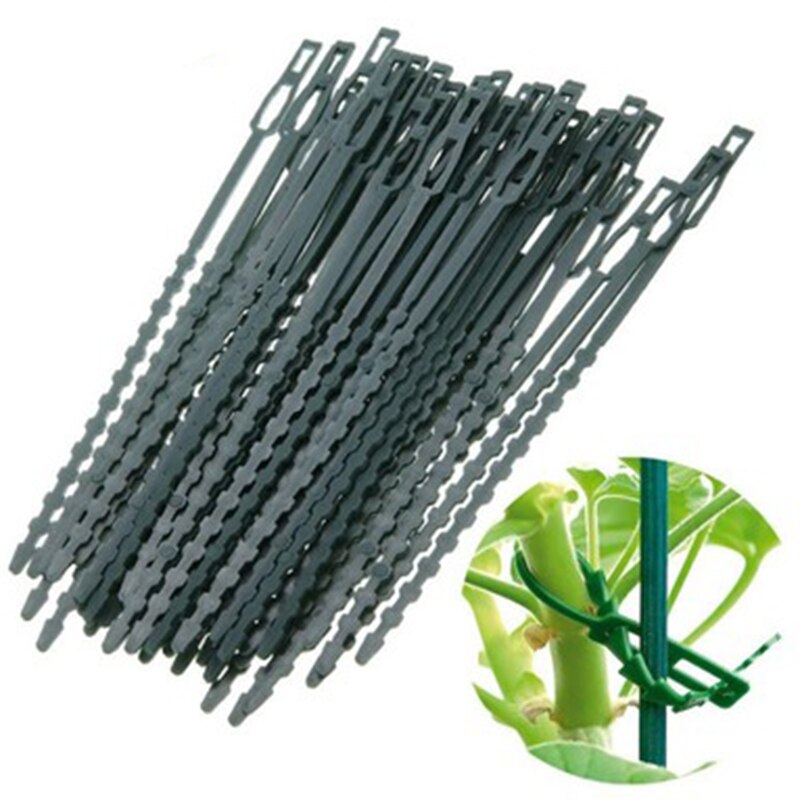 Verstelbare kabelbinders van kunststof voor planten, herbruikbare kabelbinders voor tuin, boomklimondersteuning, plant, wijnstok, tomatenstengelclip