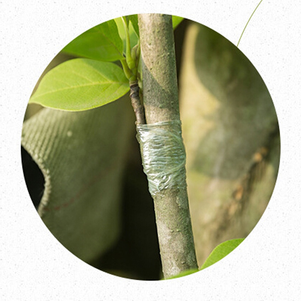 Bredde 3cm parafilm planteskole podning strechable tape tape have træ planter planter frøplanter leverer miljøvenlig pe selvklæbende