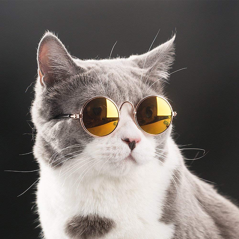 Gafas de Gato suave para mascotas, gafas de sol de color aleatorio para perro, perrito, gato, ojos, fotos, productos para mascotas