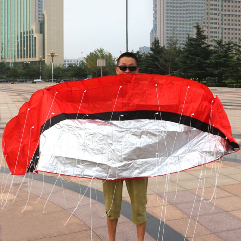 Parafoil Kite - 2.5m Dual Line Stunt Kite - Soft Skeletonless Design - Outdoor Sport Toy for Kids & Adults