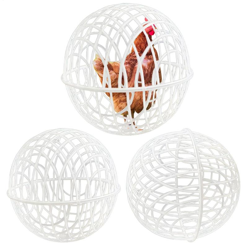 Jaula para pollos para caminar, bola esférica de seguridad para pollos, jaula para bolas de hámster, rango libre, puede enrollar y caminar para alimentar, 3 uds.
