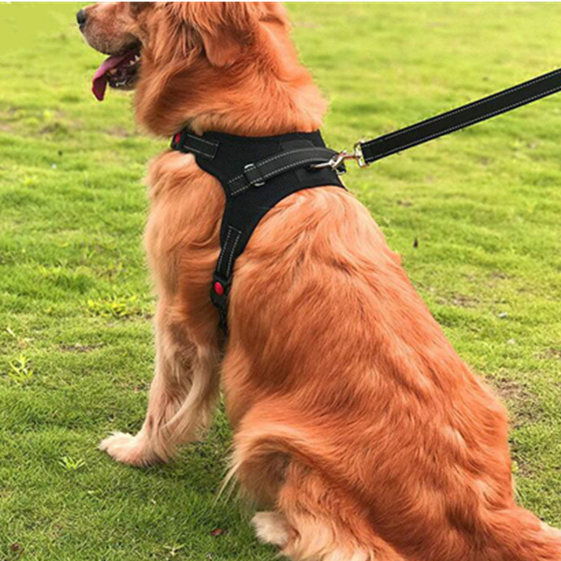 Laisse pour chien harnais réfléchissant corde moyen grand chien Golden Retriever Husky corde collier chaîne sangle de poitrine harnais fils