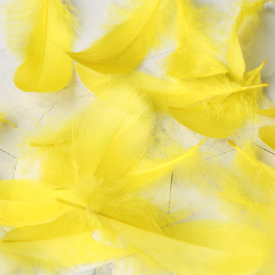 Refining Natural Feather Colourful Small Goose Feathers 3-8cm Photography props for Photo Background DIY Decoration: Yellow