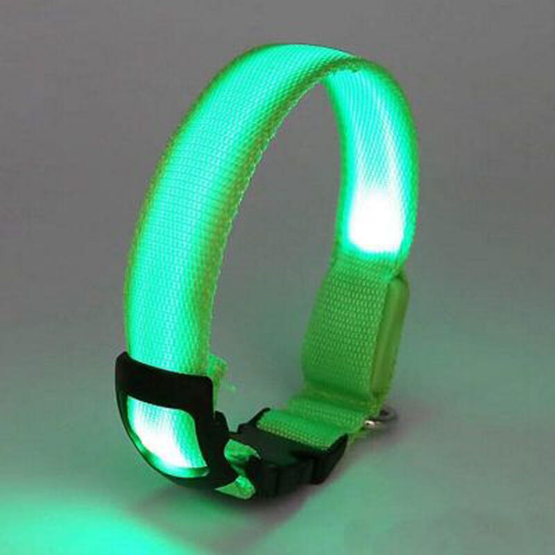Collier Fluorescent en Nylon pour Chien, accessoire lumineux de nuit, lumière LED, harnais pour Chihuahua, Pitbull, EE5QY