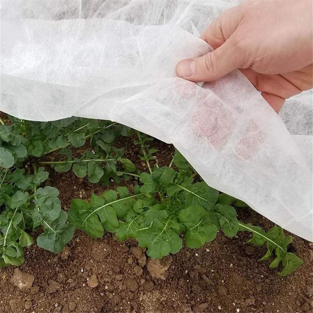 Cubierta anticongelante para plantas, Protector para jardín, tela no tejida, para frutas, verduras, protección contra heladas, blanco, 1 Uds.