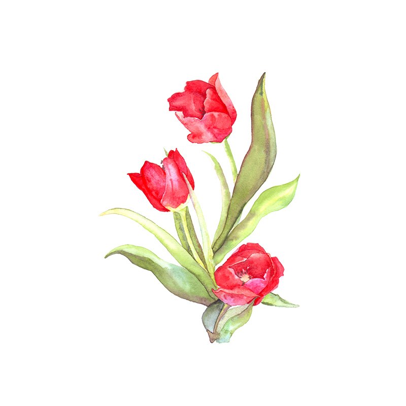 Yoja 18 x 24cm akvarel rød tulipan badeværelse toilet mærkat hjem stue væg indretning mærkat  t1-1760
