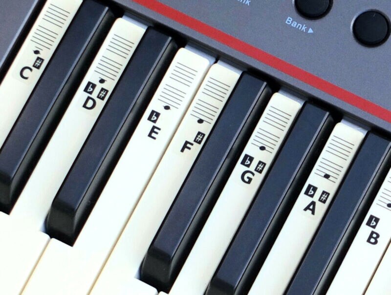 Holdbart universelt gennemsigtigt klaver 54/61/88 nøgle-note keyboard-klistermærker