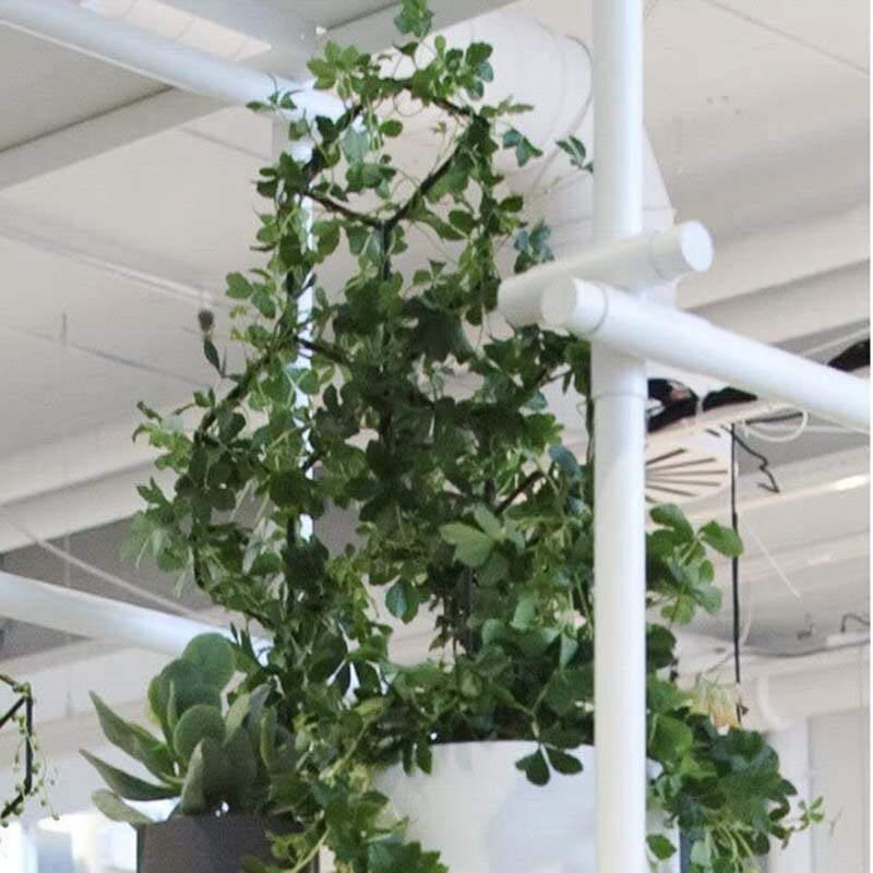 Ogród metalowa krata, nadaje się robić DIY doniczkowe wspinaczka roślin wsparcia, kwiaty, warzywa, Róża winorośle, bluszcz