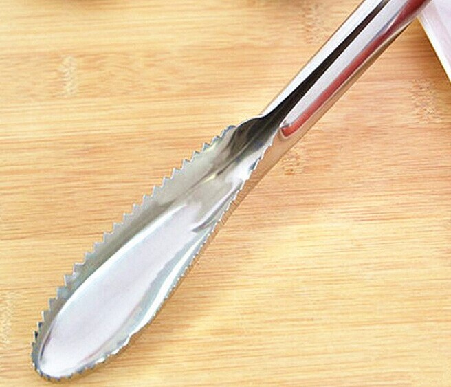 Cepillo de escamas de pescado de acero inoxidable, utensilio de cocina para pesca, herramienta para limpiar piel de pescado.