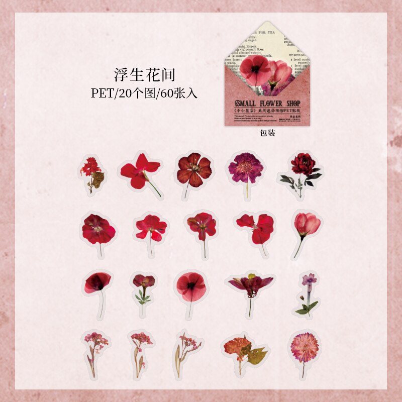 Retro Dried flower specimen PET Deco Stickers Plant Flower Leaf Transparent Bullet Journaling Accessories Aesthetic Stickers: 2