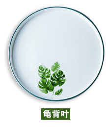 European Style Marble Plates Ceramic Dinner Set leaf printed Porcelain Dessert Plate Steak Salad Snack Cake Plates Tableware: B