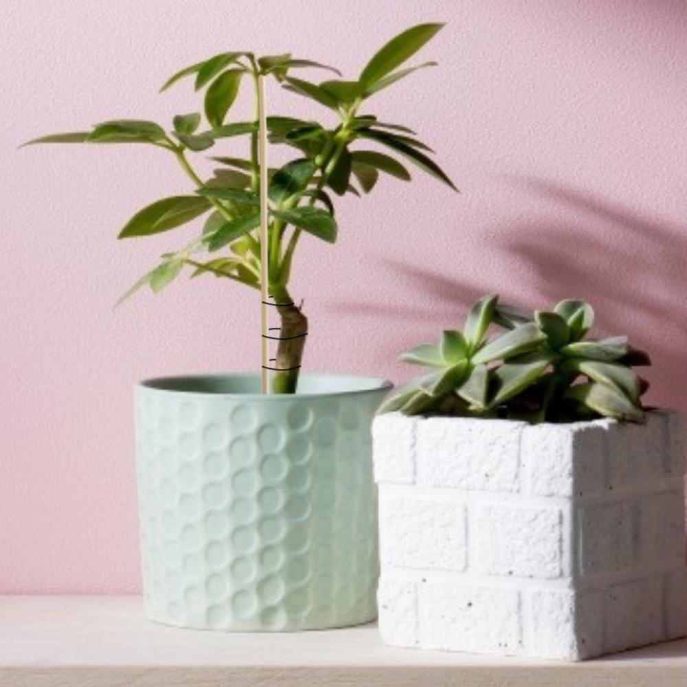 Palo de soporte de madera para plantas, herramienta de Jardín de plantas en maceta para interiores, flores y plantas para crecimiento de varilla de soporte, palitos de bambú para picar, 50 Uds.